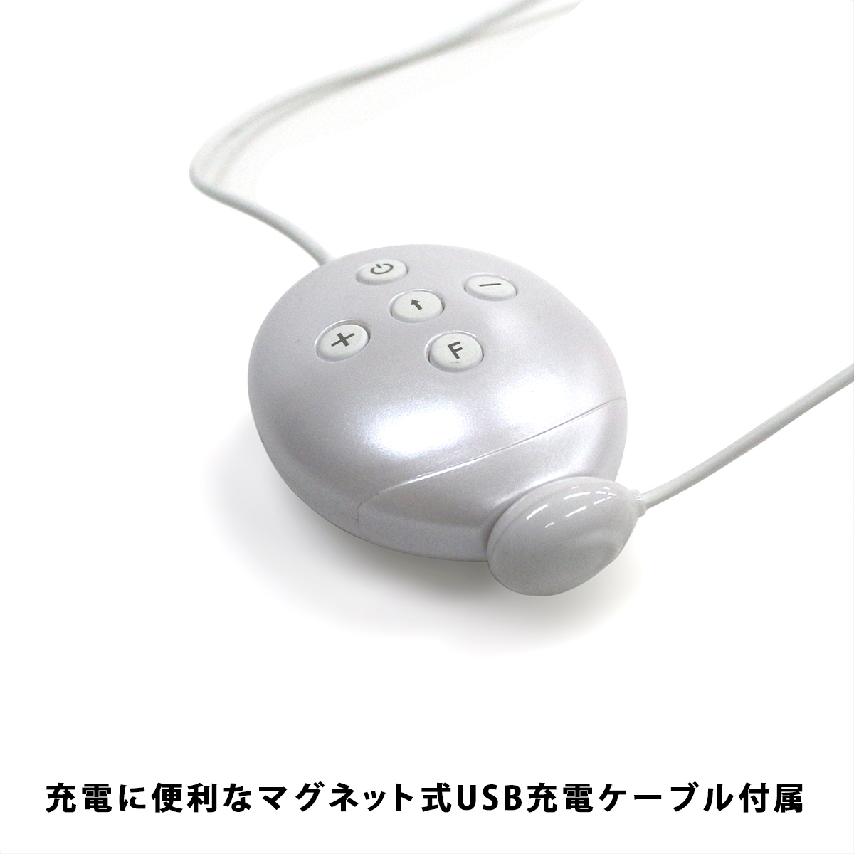 SSI Japan - KIZUNA smart controller - Image 5